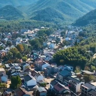 江苏卫视：提质增“数” ！江苏省全力推进数字乡村建设