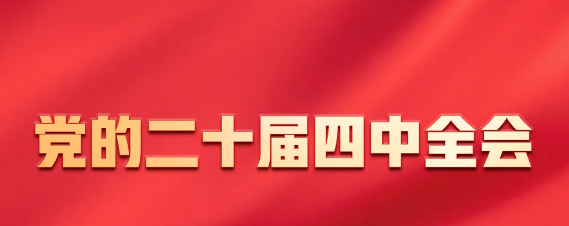 一张图，带你了解党的二十届四中全会