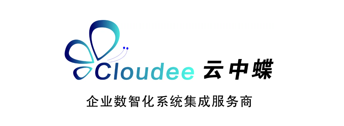 数联新星 | 专注于先进企业数智化转型系统集成服务商——无锡云中蝶科技有限公司