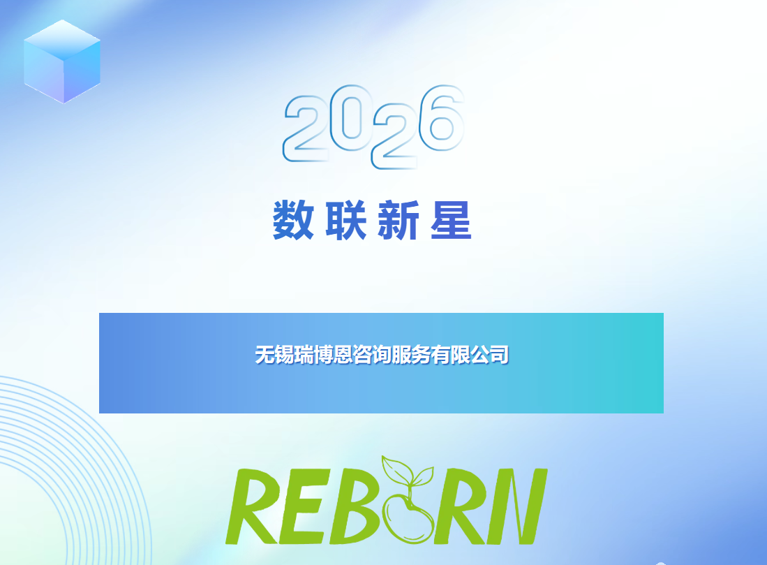 数联新星 | 链接全球资源，赋能实业出海—— 无锡瑞博恩咨询服务有限公司